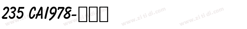 235 CAI978字体转换